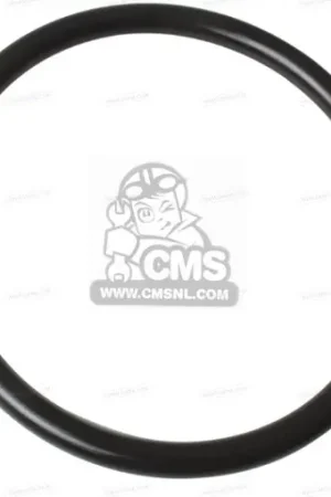 Vendita Finale O RING POMPA CARBURANTE BENZINA ORIGINALE KAWASAKI Z900, ZX-6R, Z1000, NINJA ZX-10R CONTATTAMI X APPLICAZIONI